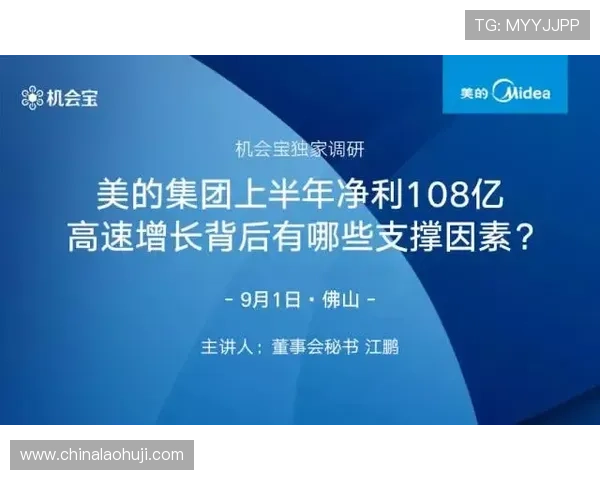 宝昂电子郭大川在行业中的合作伙伴关系与战略联盟分析